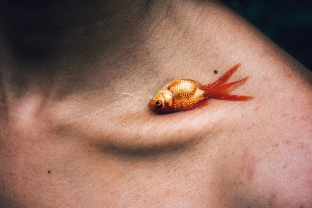 Photograph by mritunjoydeb