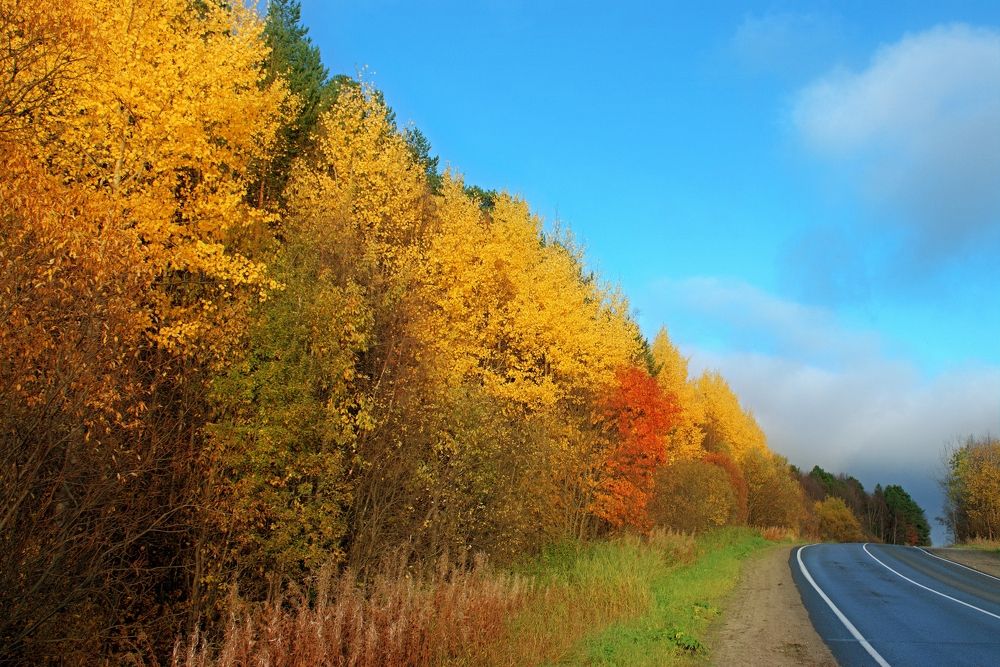 Photograph by Борис Чернов