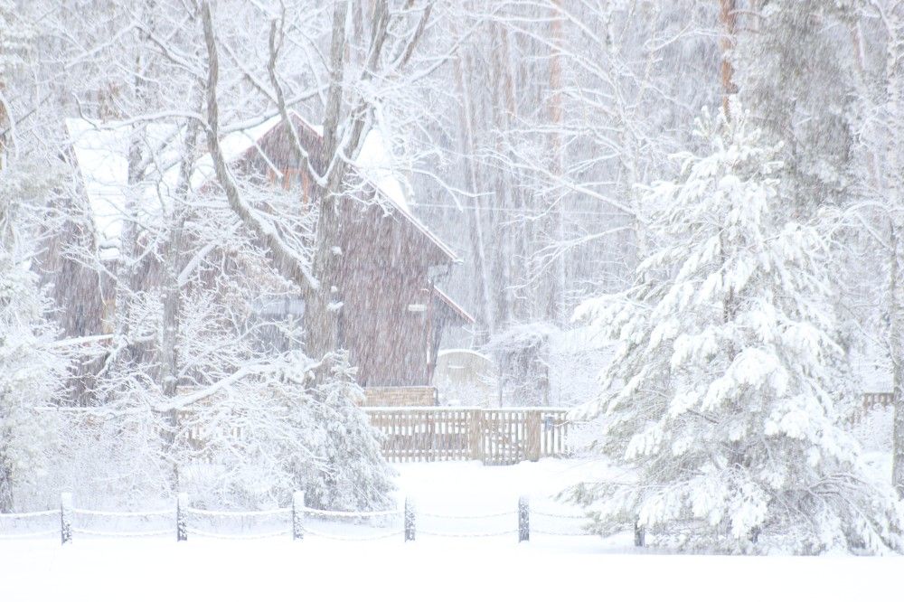 Photograph by Сергей Зятиков