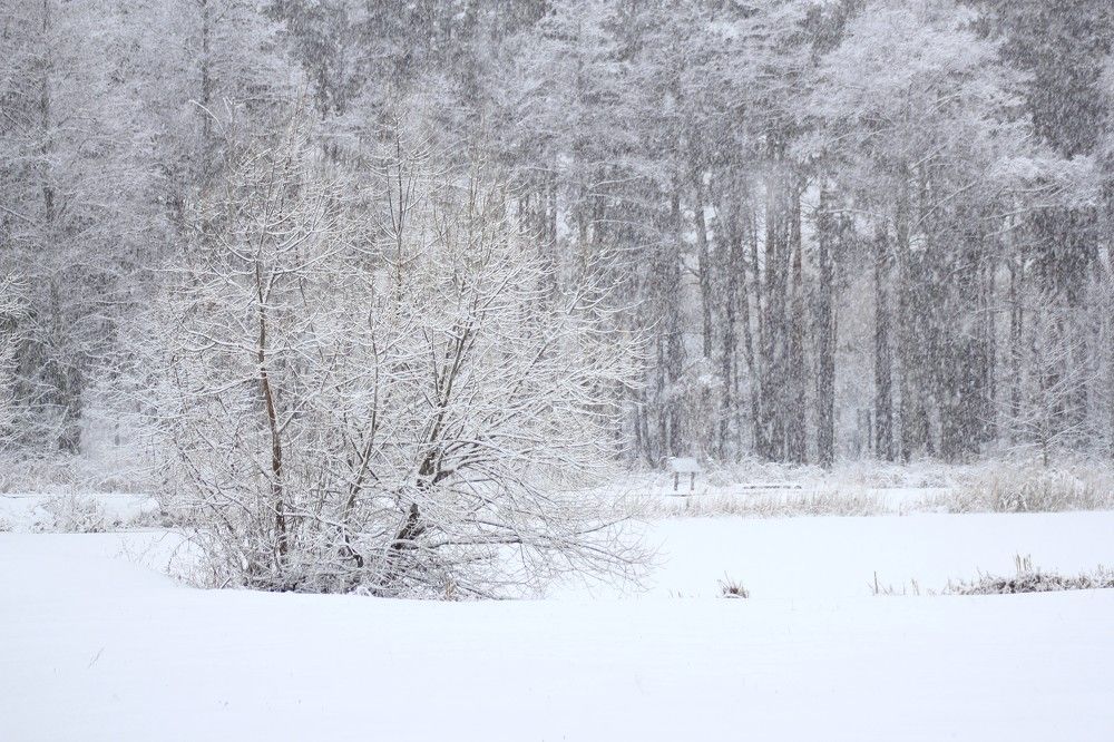 Photograph by Сергей Зятиков