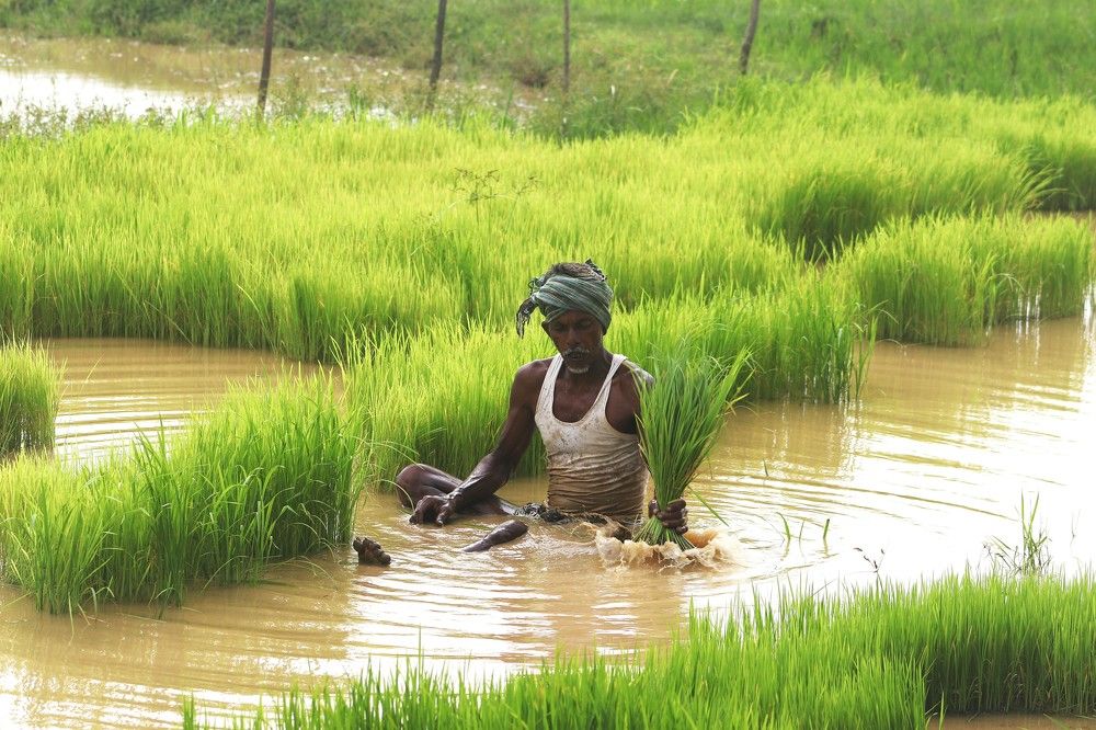 Фотография автора Atul Robin Hans