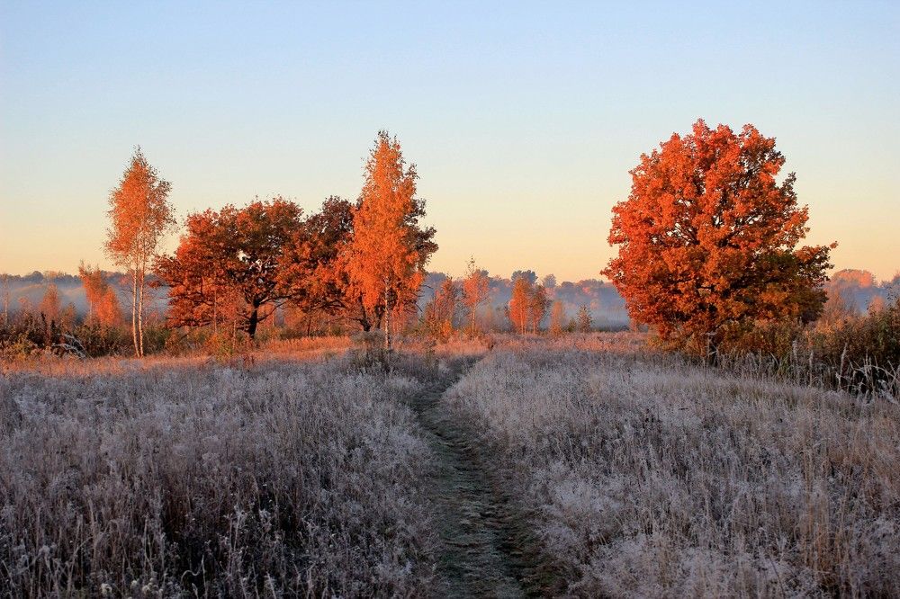 Photograph by Сергей Зятиков