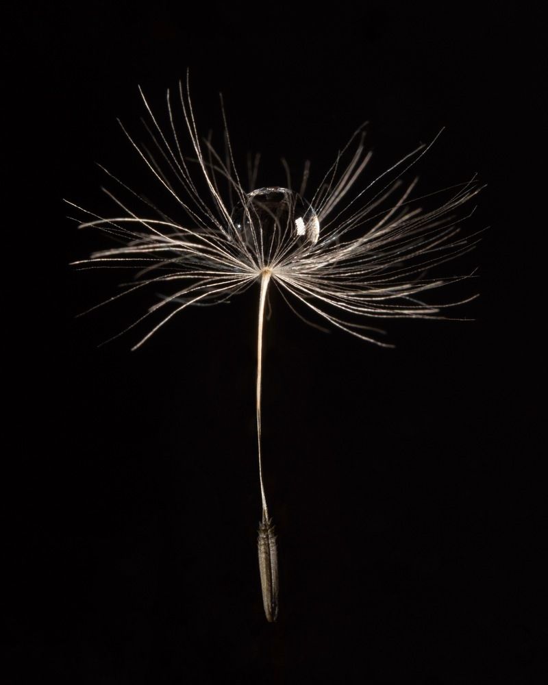 Photograph by Дмитрий Костяков