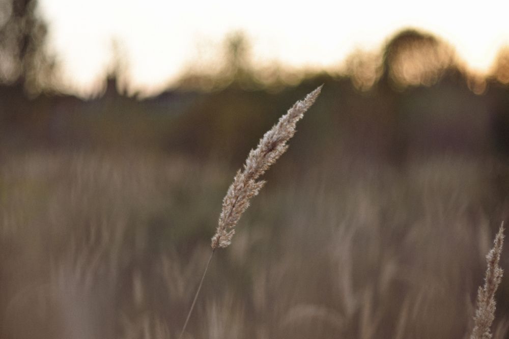 Photograph by Татьяна Сурова