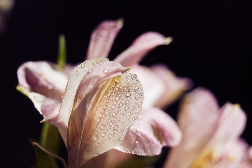 Photograph by Сергей Фадин