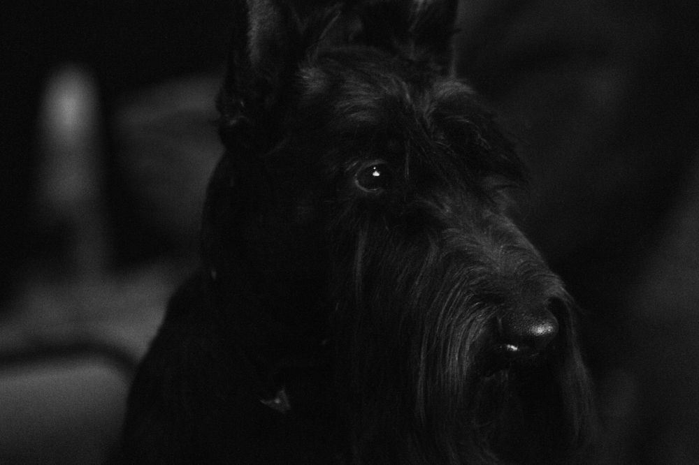 Photograph by Ольга Сельницына