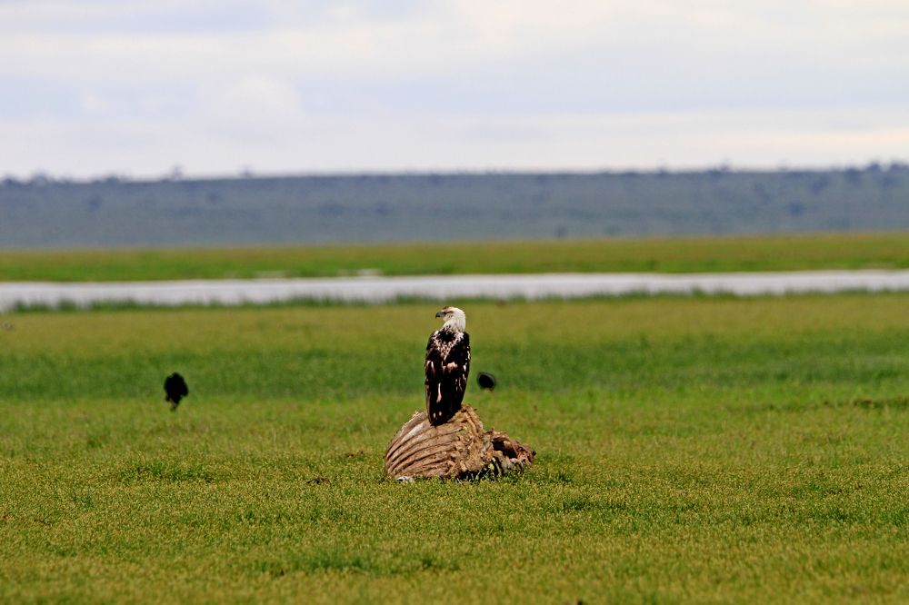 Photograph by bharath kumar