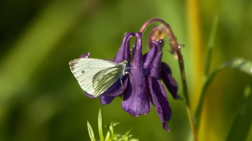 Photograph by Сергей Фадин