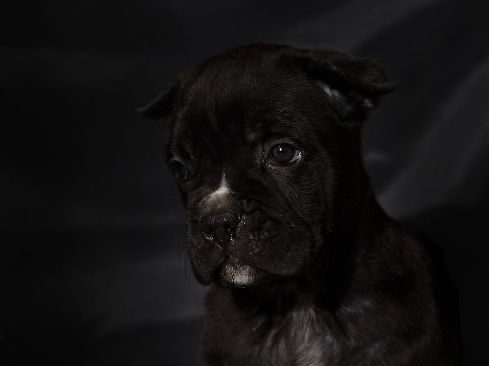 Photograph by Ольга Сельницына