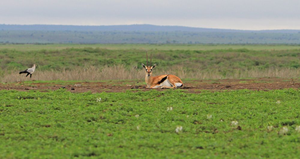 Photograph by bharath kumar
