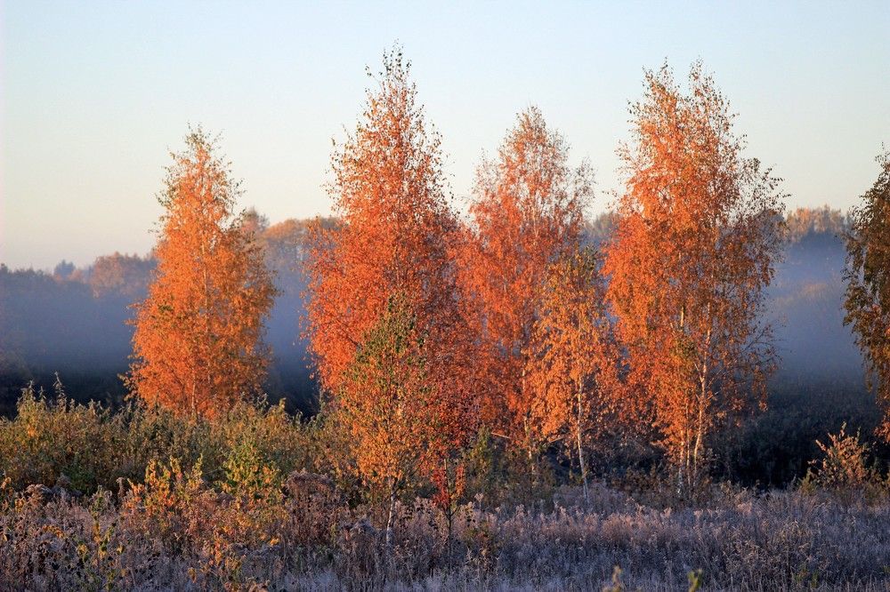 Photograph by Сергей Зятиков