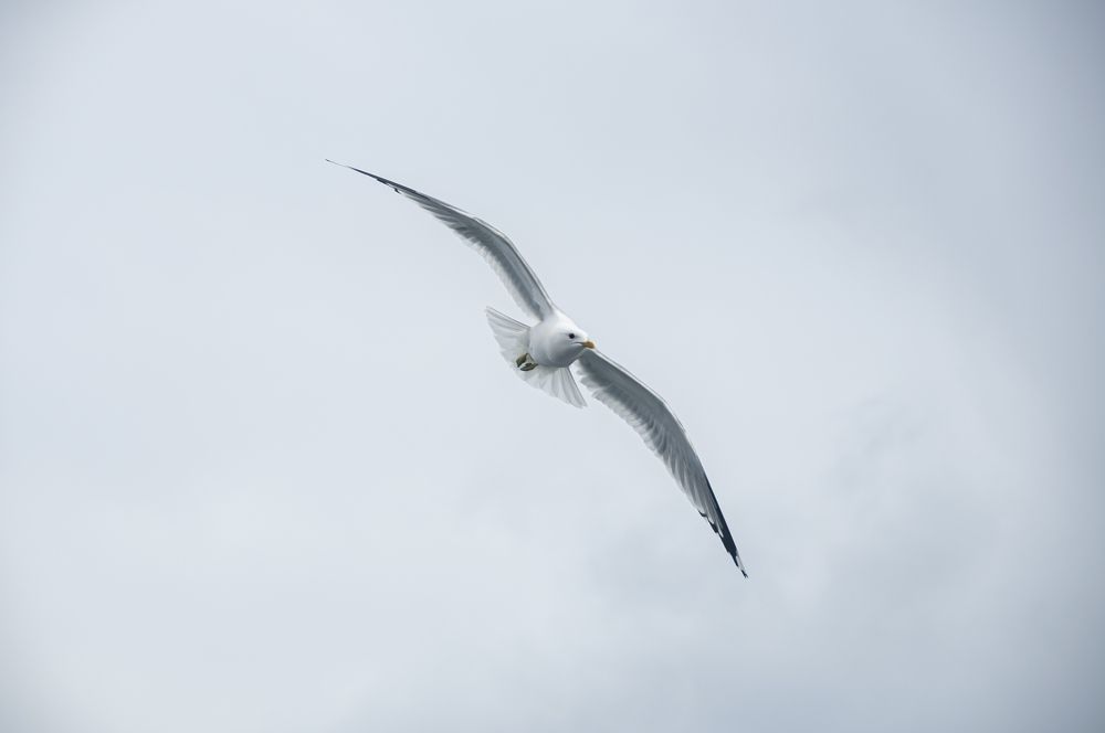 Photograph by Никита