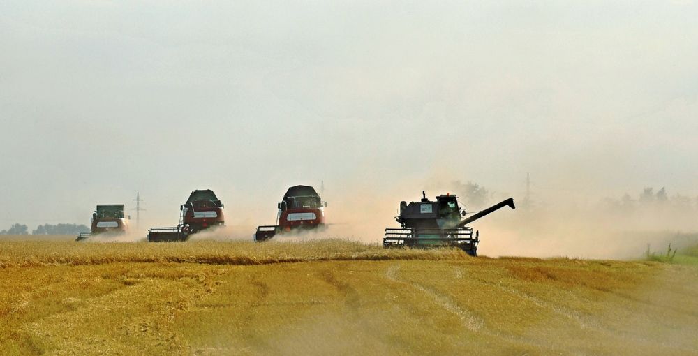 Photograph by Илфир Исламгазин