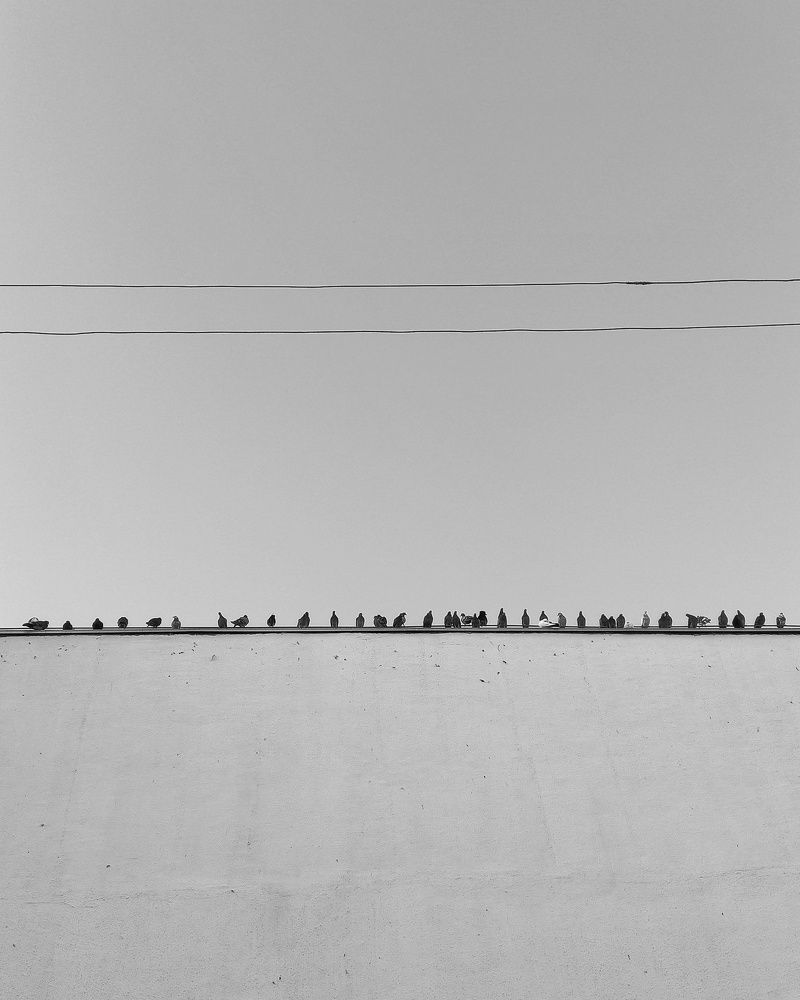 Photograph by Svetlana Yurasova