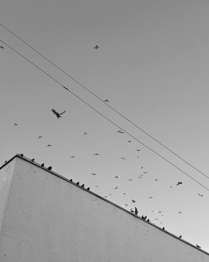 Photograph by Svetlana Yurasova