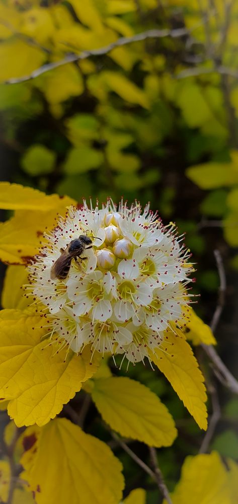 Photograph by INNA KHOMENKO