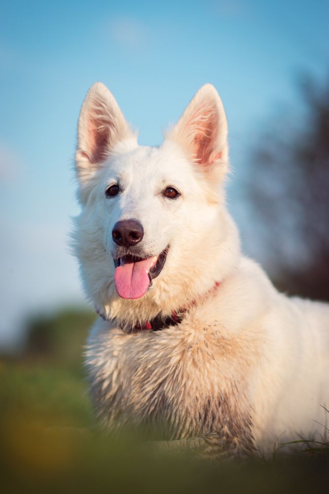 Photograph by Павел Зайцев