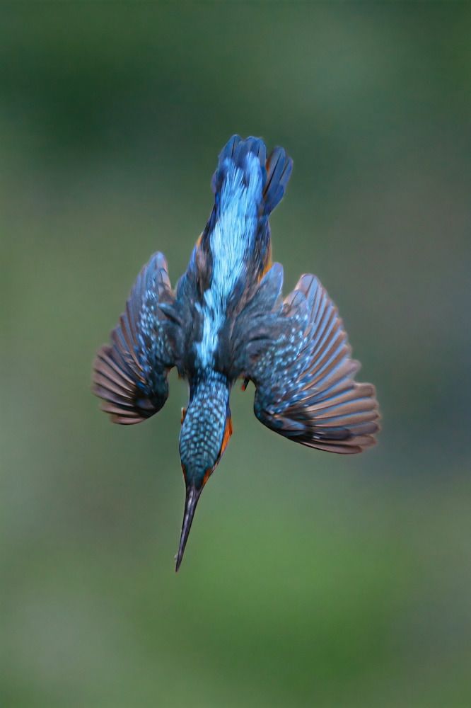 Photograph by Ambi Puvi