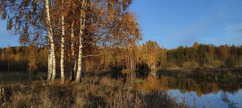 Photograph by mihail