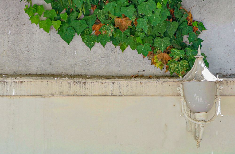 Photograph by Mohammadvahid Nasseri