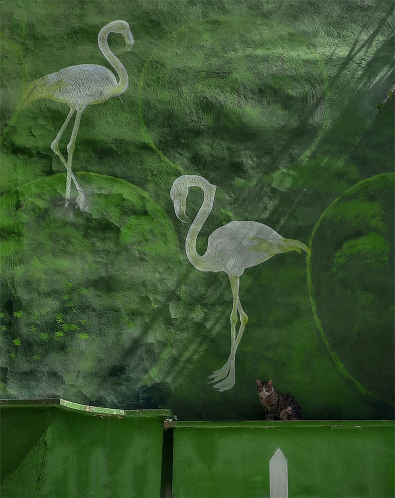 Photograph by Mohammadvahid Nasseri