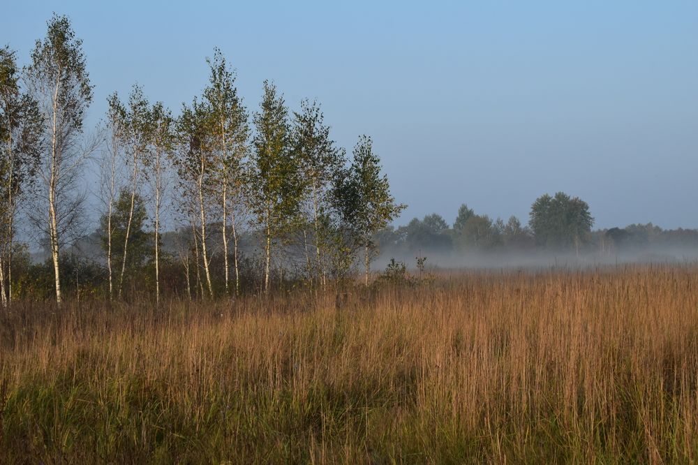 Photograph by Татьяна Калугина