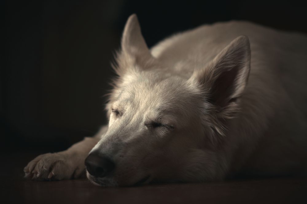 Photograph by Павел Зайцев