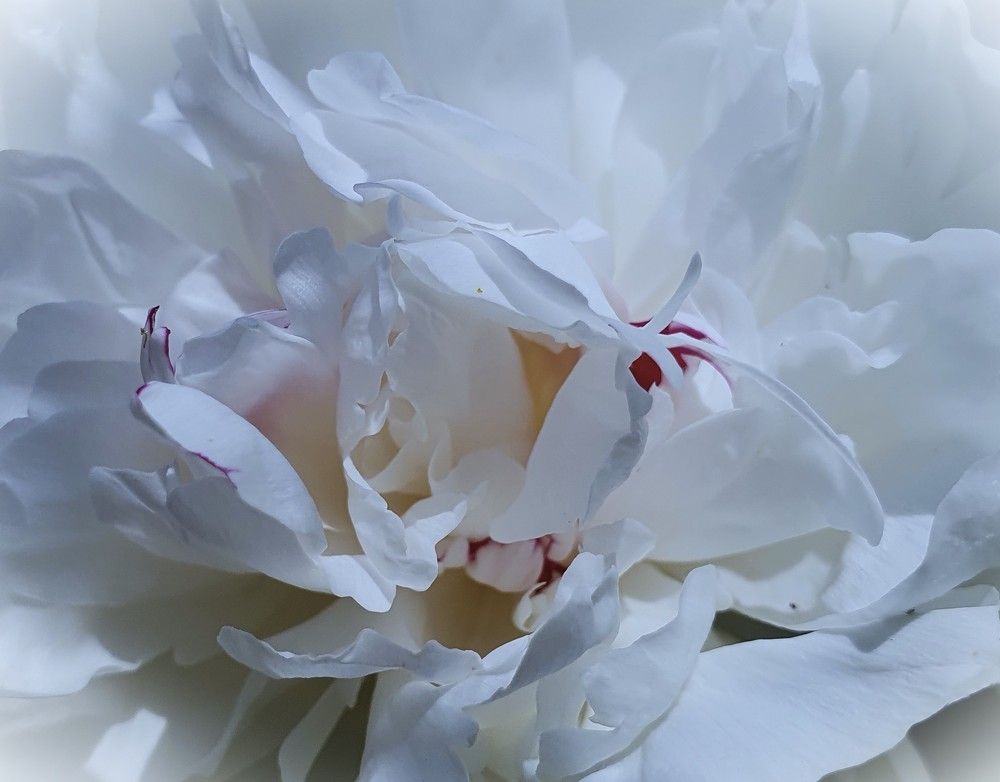 Photograph by Яна Галимуллина