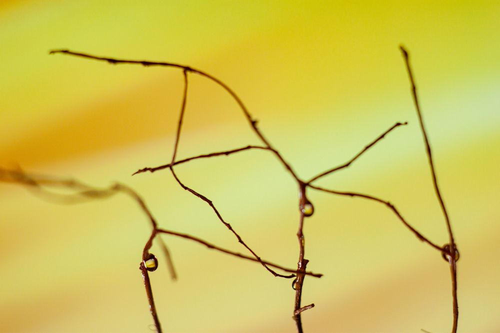 Photograph by Владислав Капанов