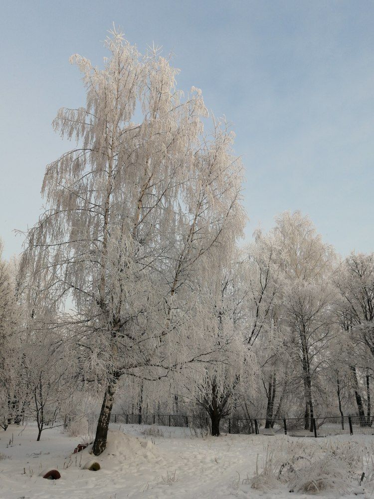 Photograph by Татьяна Ненюхина