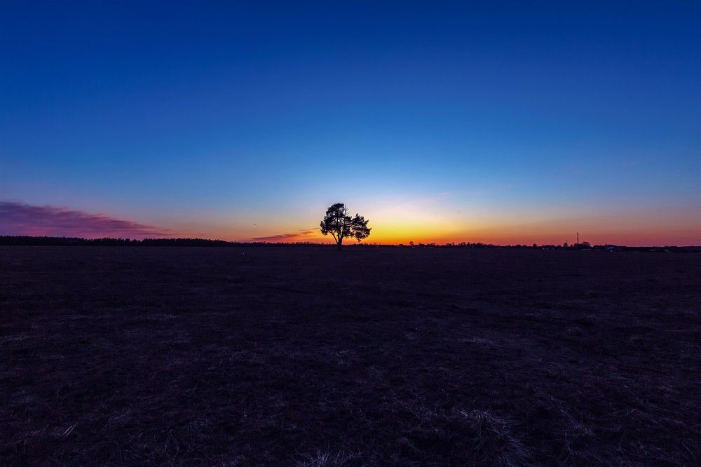 Photograph by Александр Литвинов