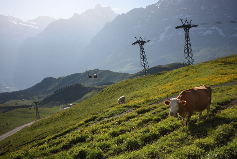 Фотография автора Наталья Белова