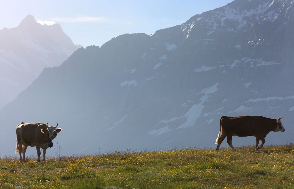 Фотография автора Наталья Белова