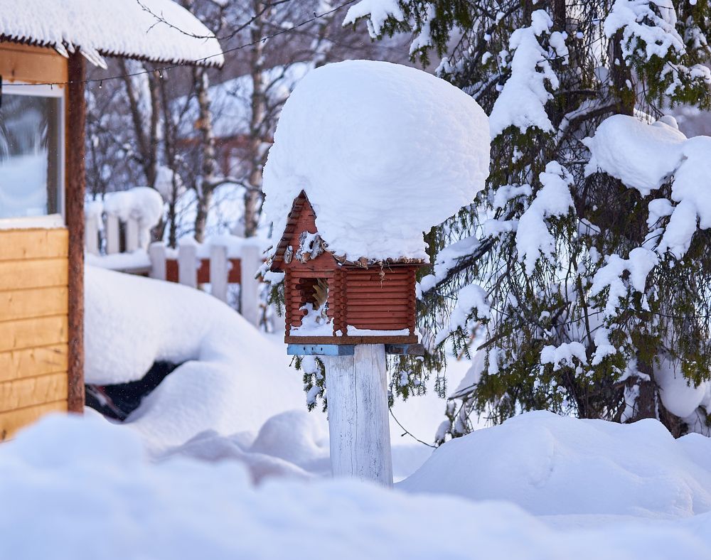 Photograph by Ксения Щербань