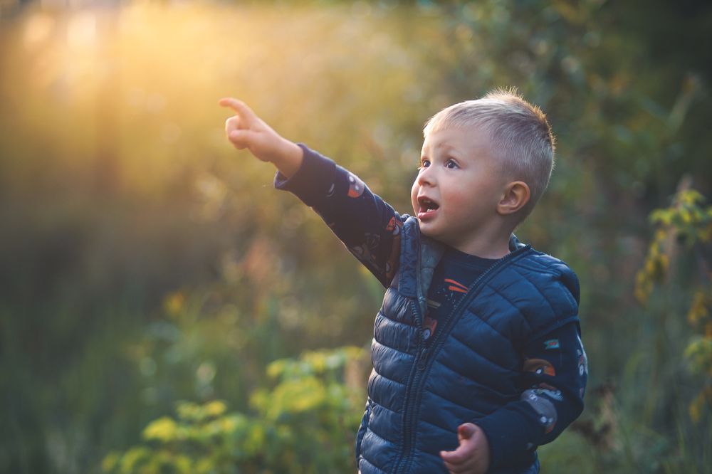 Photograph by Александр Соловьев