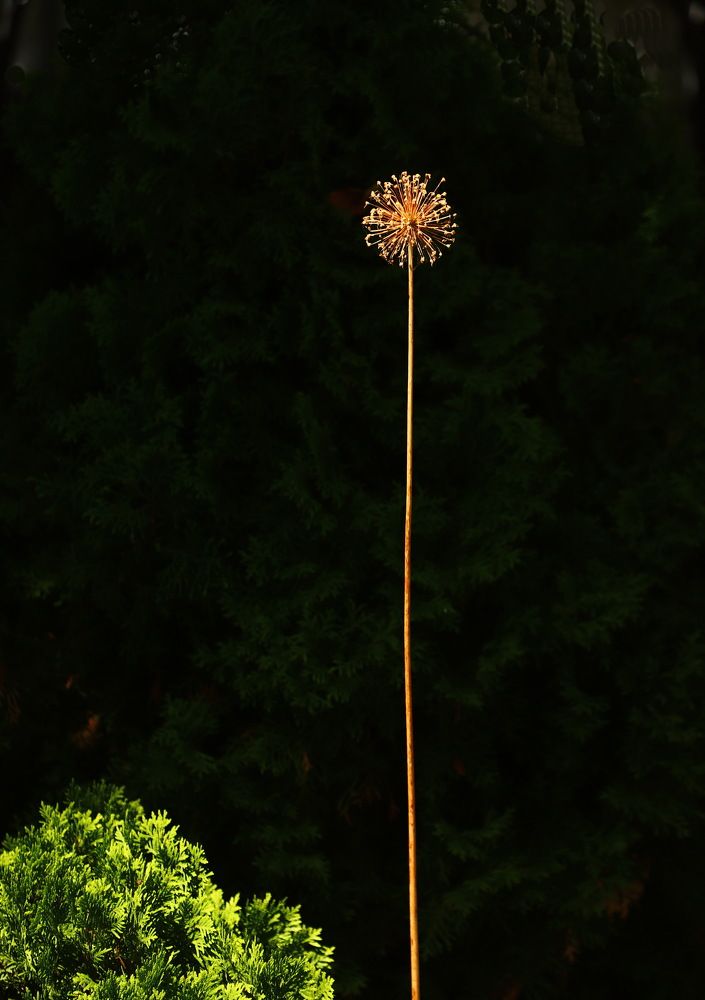 Photograph by Лада Денисова