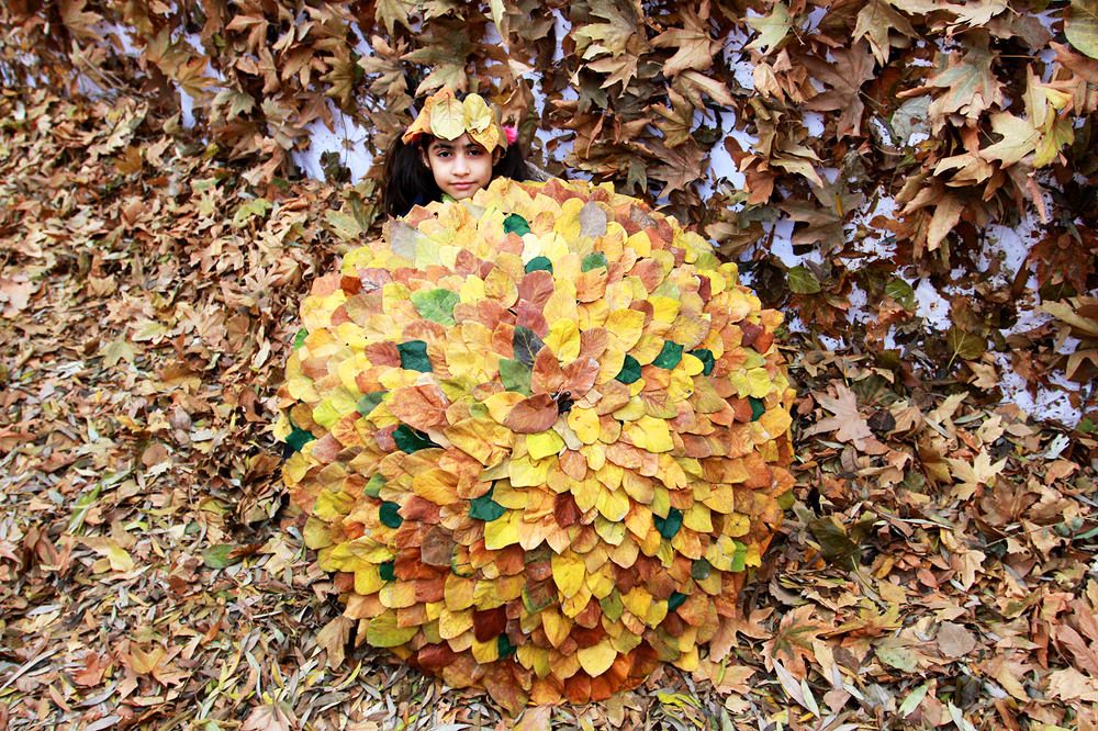 Photograph by mehdi karimi souderjani