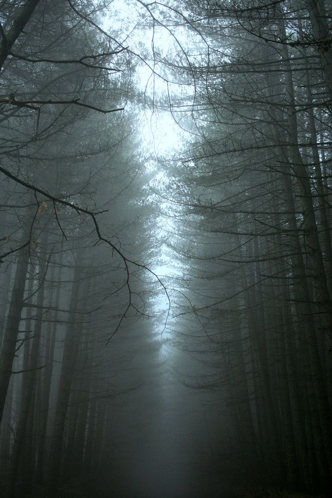 Photograph by Claudio Bonaccorsi