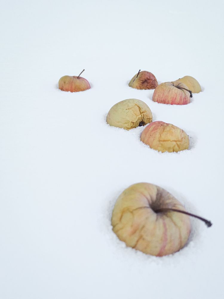 Photograph by Альфия