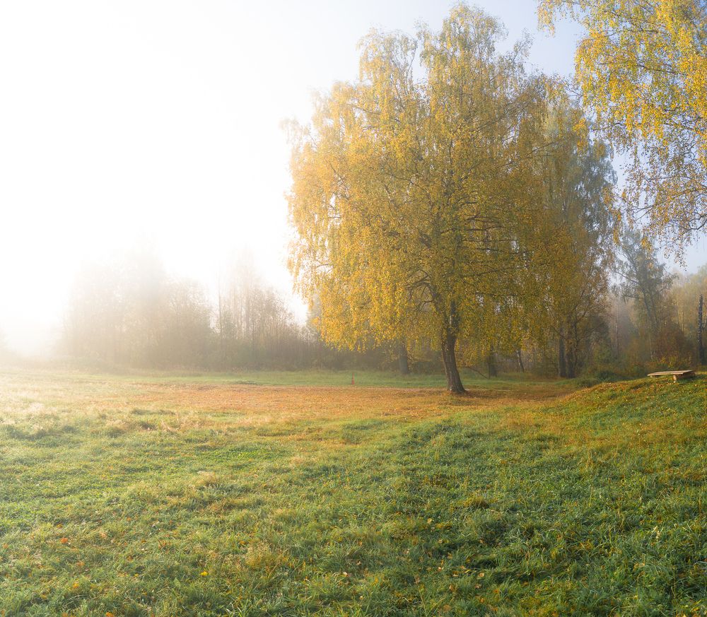 Photograph by Веденин Егор