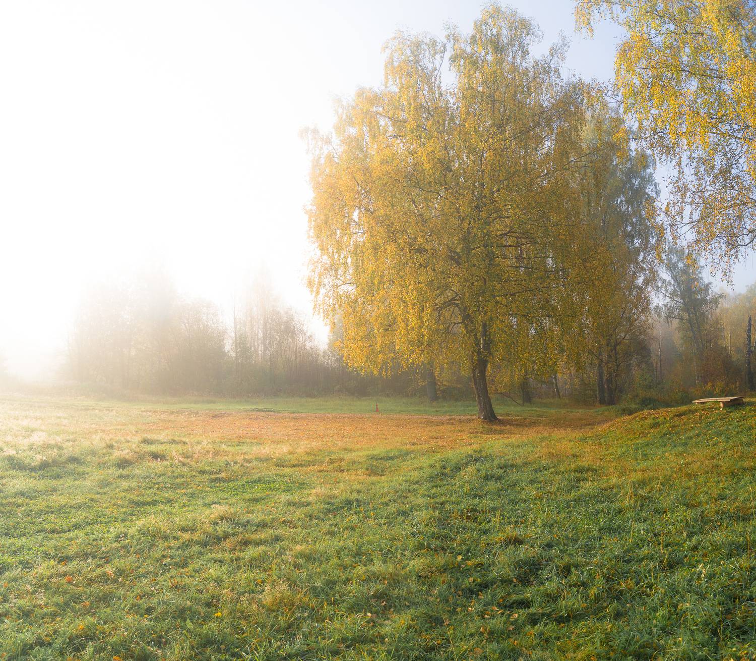 Photo #9628822