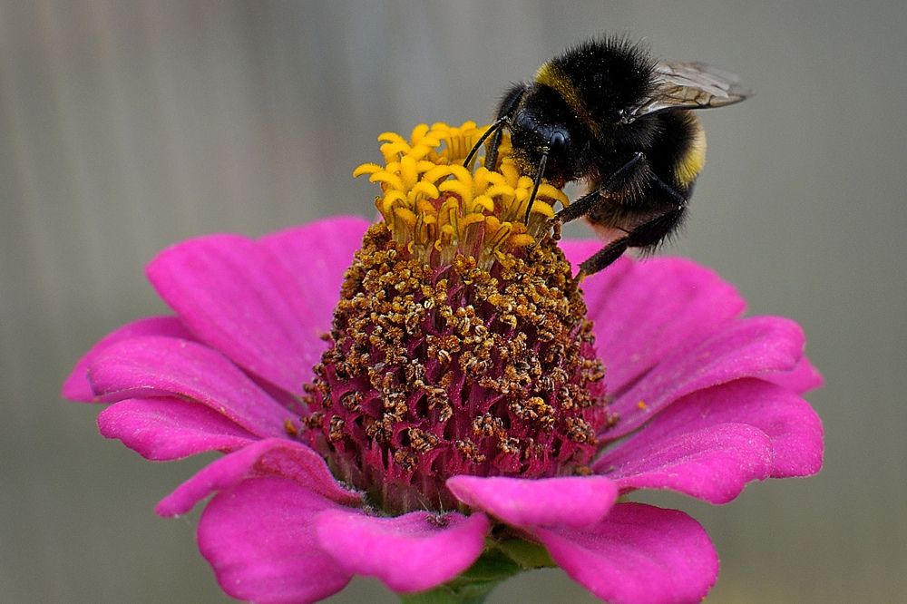 Photograph by Игорь Овсиенко