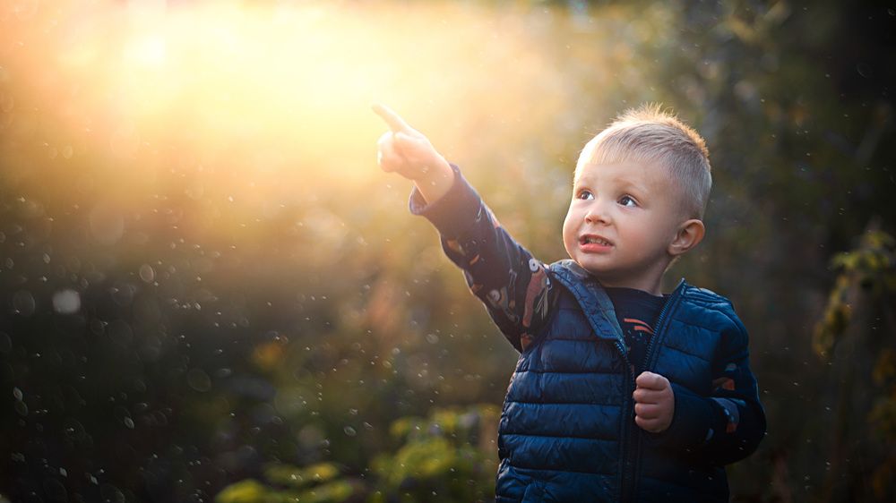 Photograph by Александр Соловьев