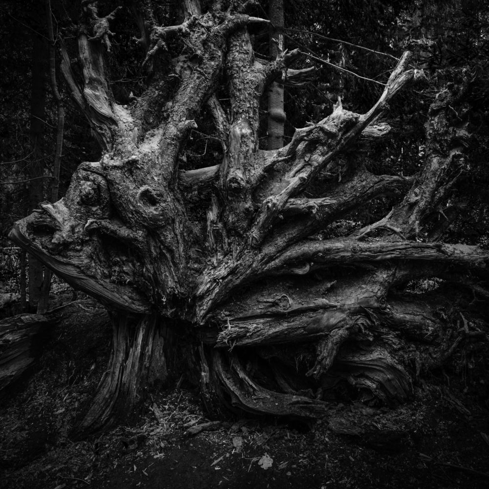 Photograph by Евгений Волосков