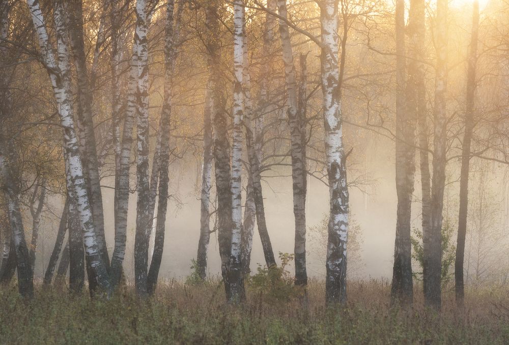 Photograph by Мозжухин Максим