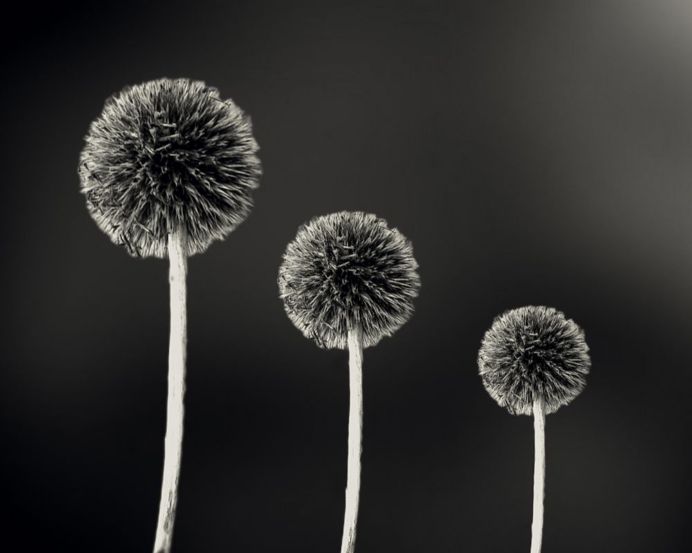 Photograph by Люда Яковлева