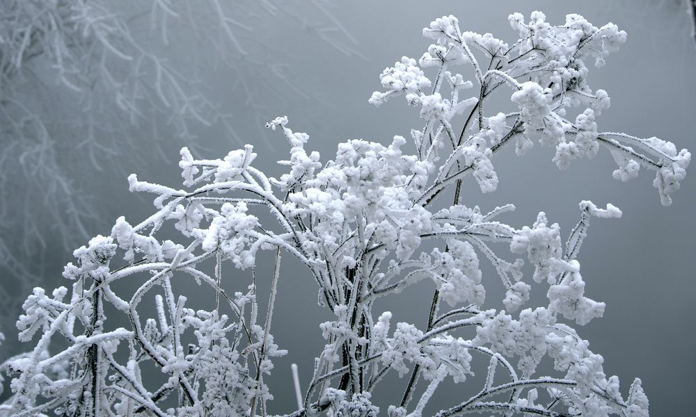 Фотография автора Войнов Дмитрий