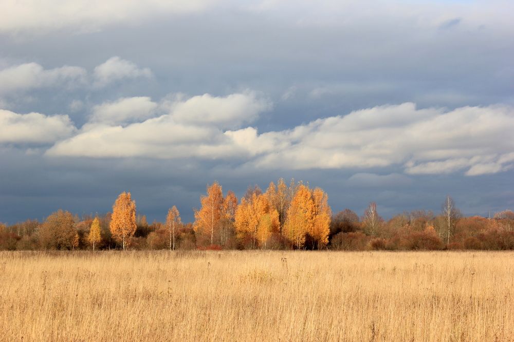 Золотая Осень
