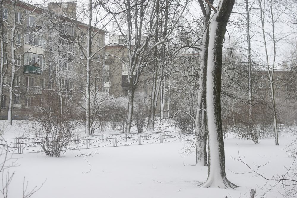 Фотография автора Альбина Хвастунова