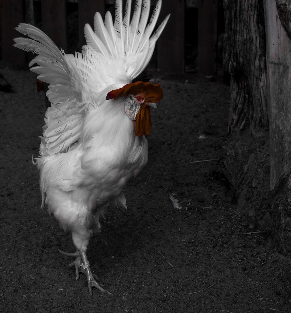 Фотография автора Альбина Хвастунова